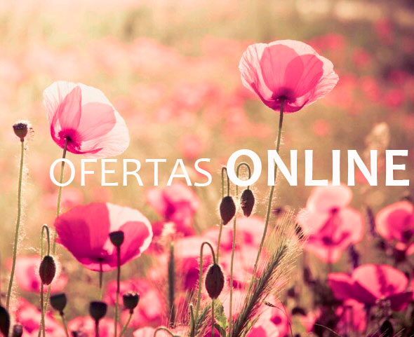 Ofertas